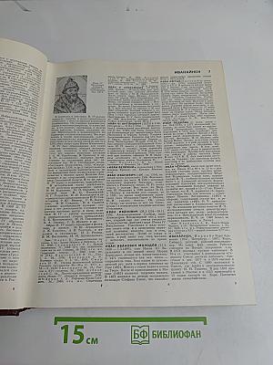 Большая Советская Энциклопедия. Том 10. Ива — Италики