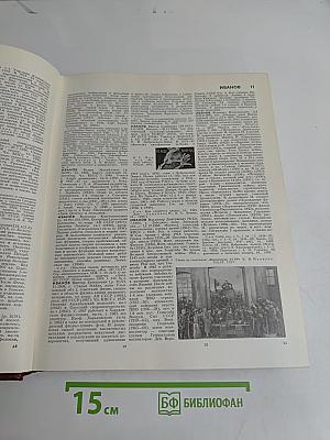 Большая Советская Энциклопедия. Том 10. Ива — Италики