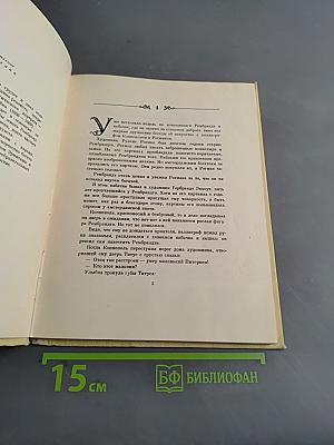 Мастер торжествующего света. Повесть о Рембрандте