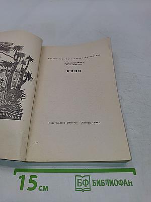 Киви