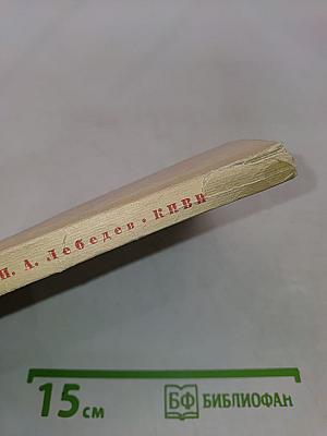 Киви