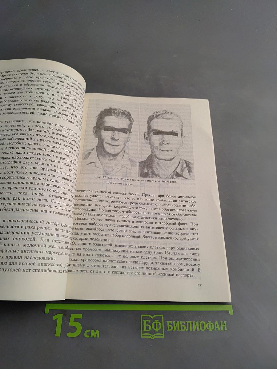 Иллюзии, реалии, надежды