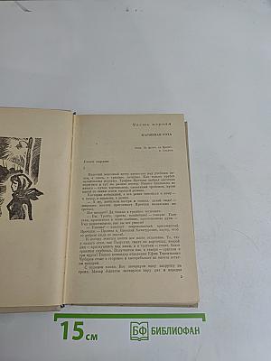 Товарищи огненных лет