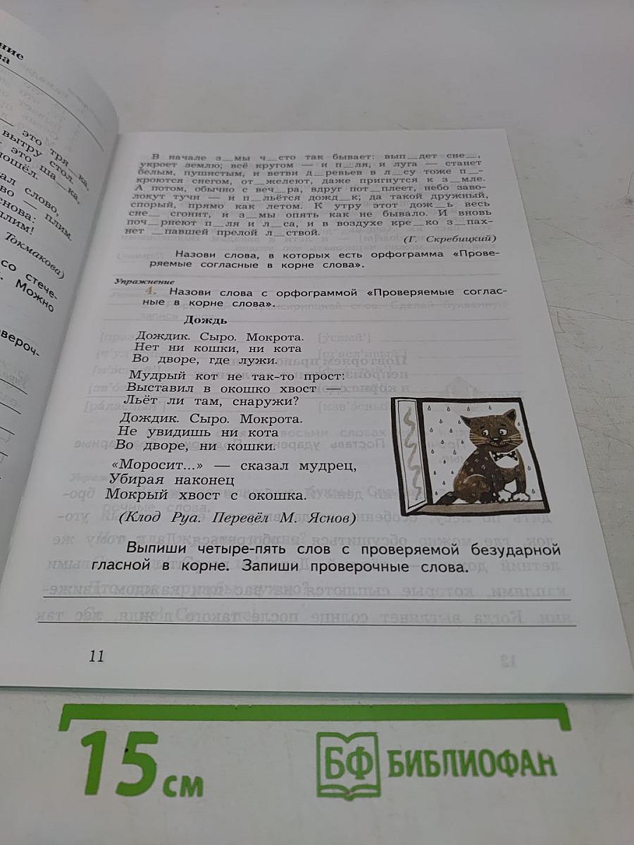Рабочая тетрадь по русскому языку. Пишем грамотно. 3 класс. Часть 1