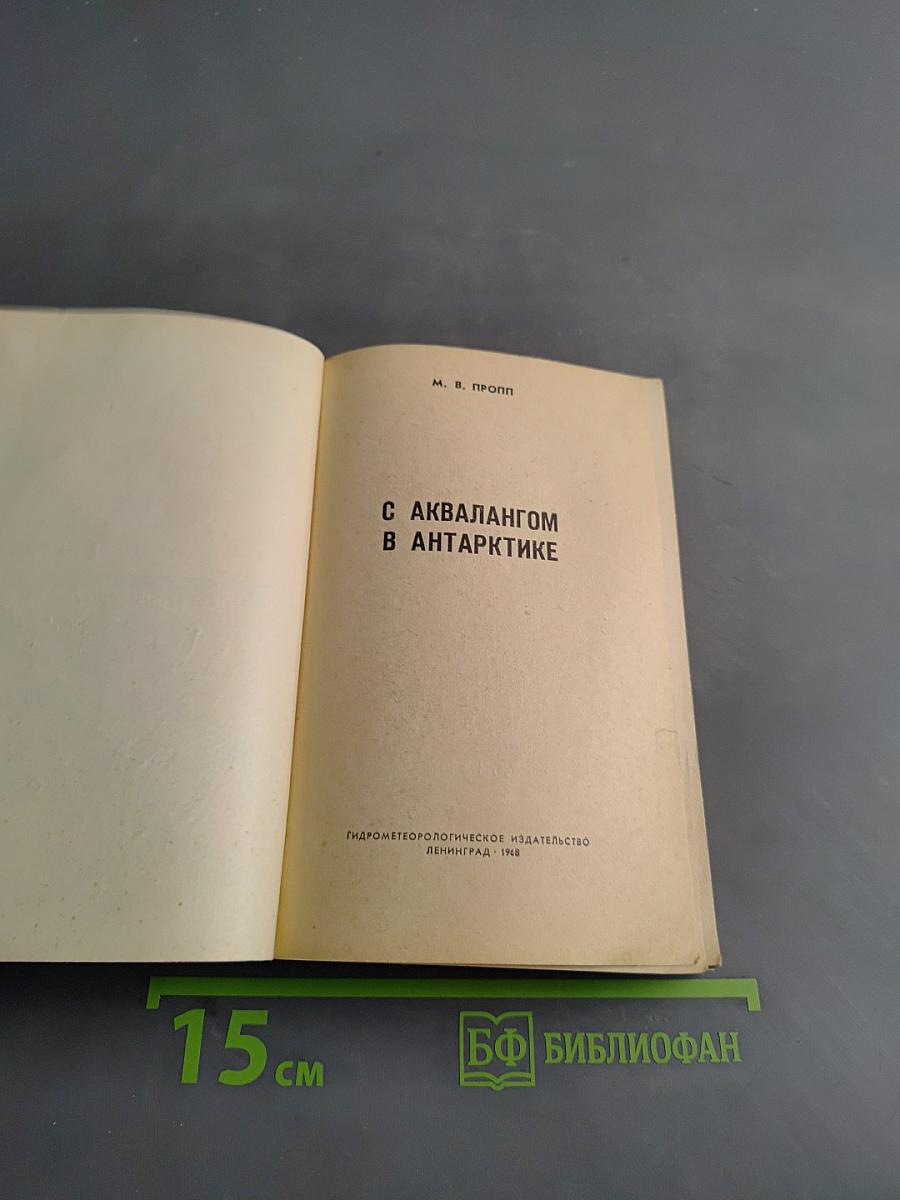 С аквалангом в Антарктике