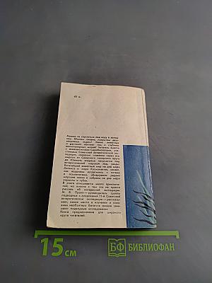 С аквалангом в Антарктике