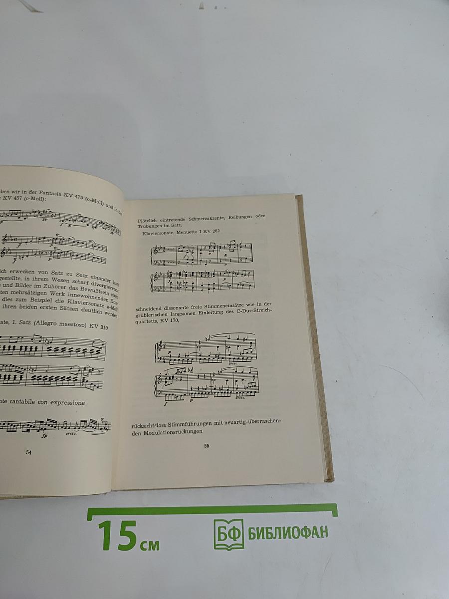 Aufsätze über Musik