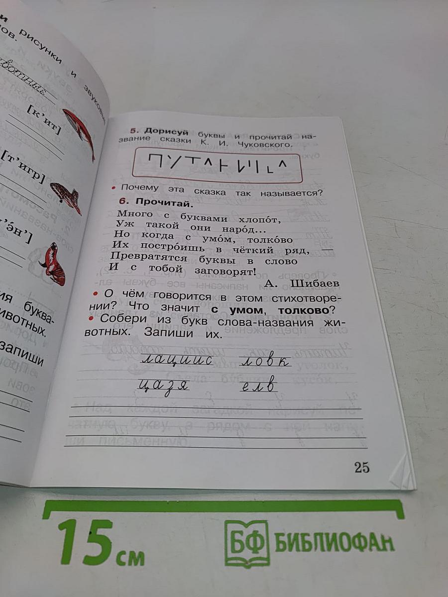 Русский язык. Рабочая тетрадь. 1 класс