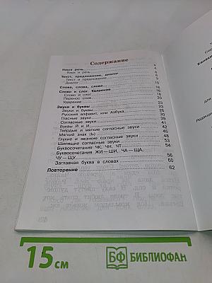 Русский язык. Рабочая тетрадь. 1 класс
