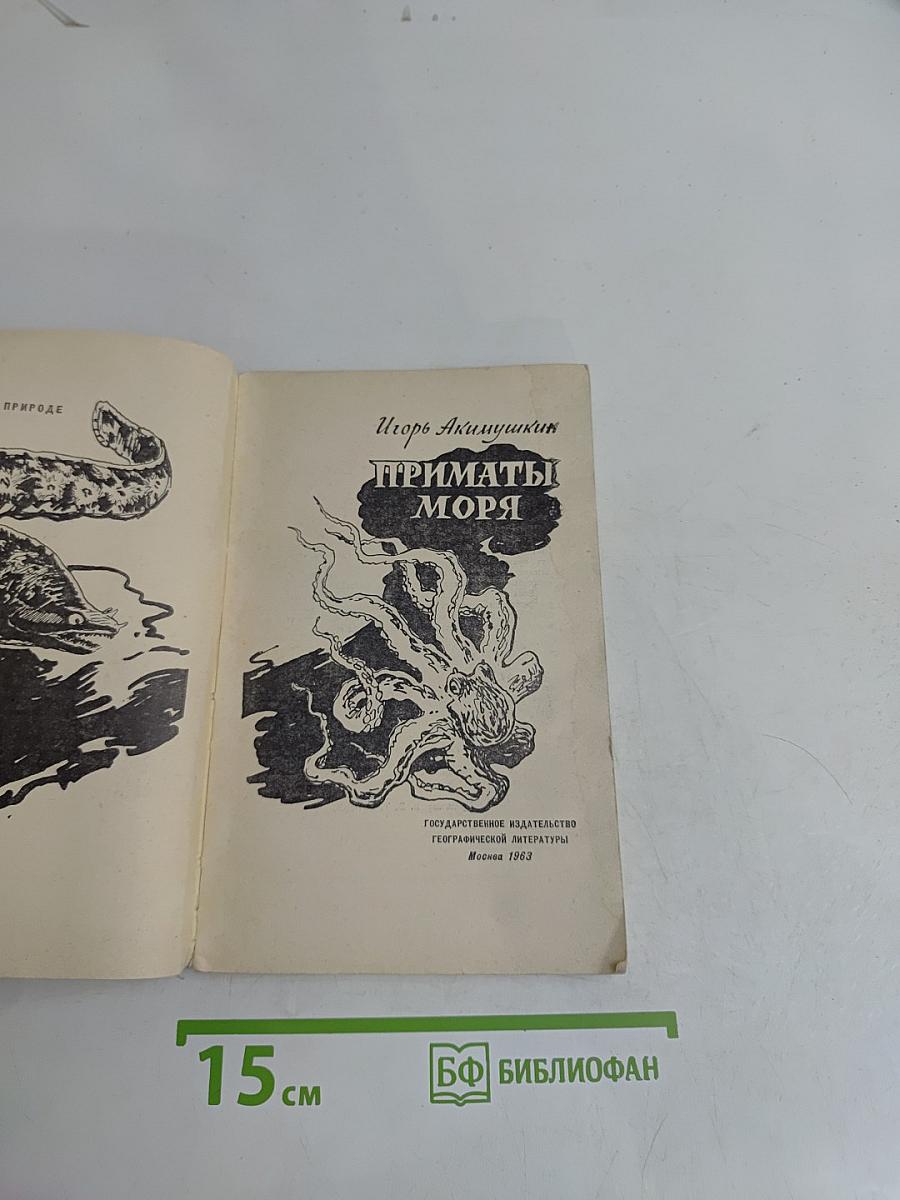 Приматы моря
