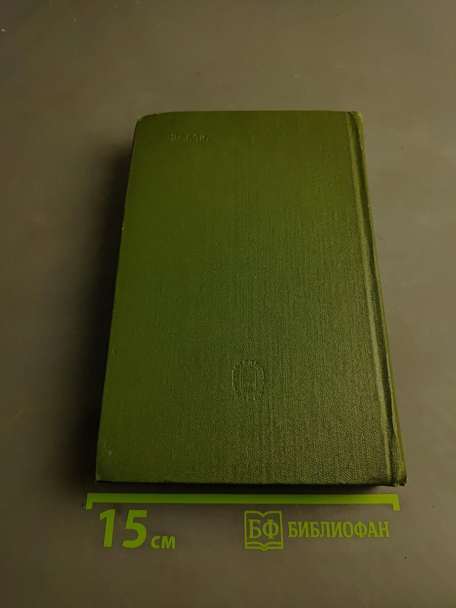 Стихотворения 1855-1866 гг. Том второй