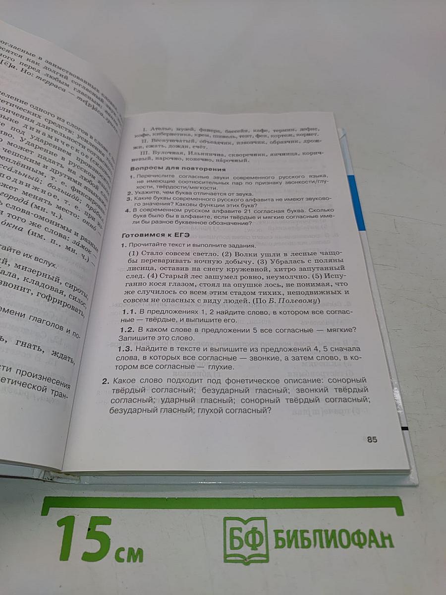 Русский язык. 10-11 классы. Часть 1