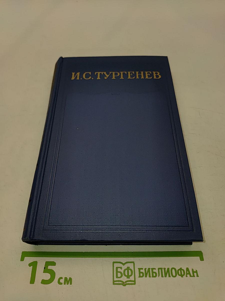 Сочинения. Том десятый. Повести и рассказы 1867-1870