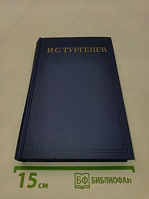 Сочинения. Том десятый. Повести и рассказы 1867-1870