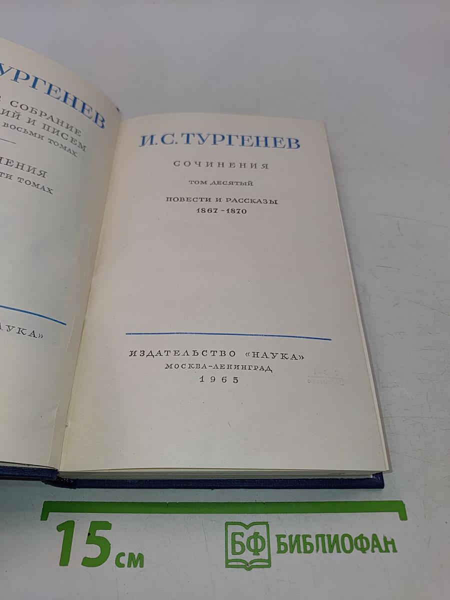 Сочинения. Том десятый. Повести и рассказы 1867-1870