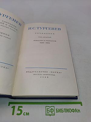 Сочинения. Том десятый. Повести и рассказы 1867-1870