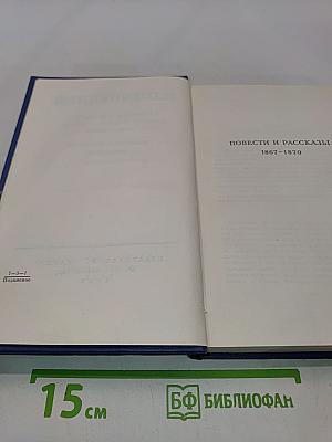 Сочинения. Том десятый. Повести и рассказы 1867-1870