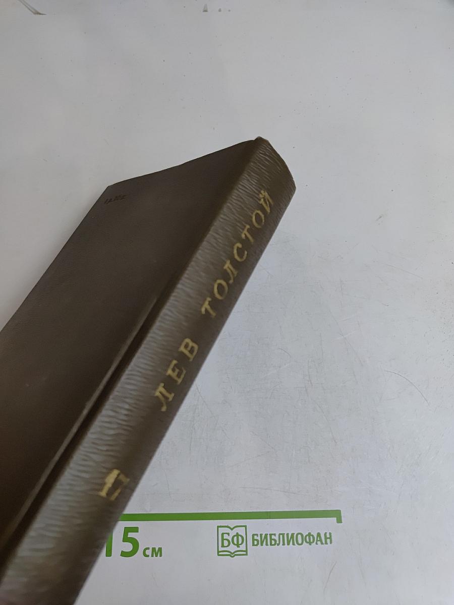 Собрание сочинений. Том семнадцатый. Письма 1841-1885 гг.