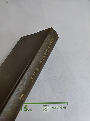 Собрание сочинений. Том семнадцатый. Письма 1841-1885 гг.
