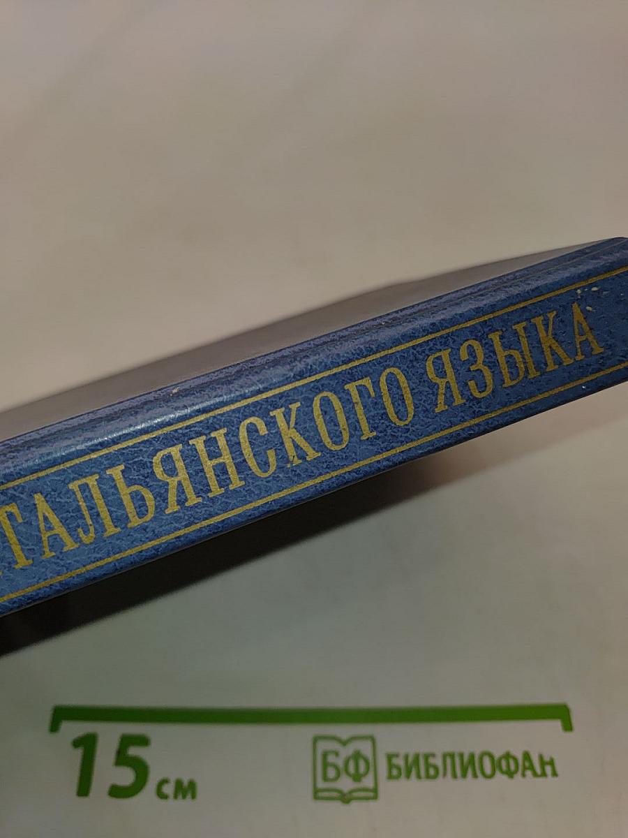 Практический курс итальянского языка