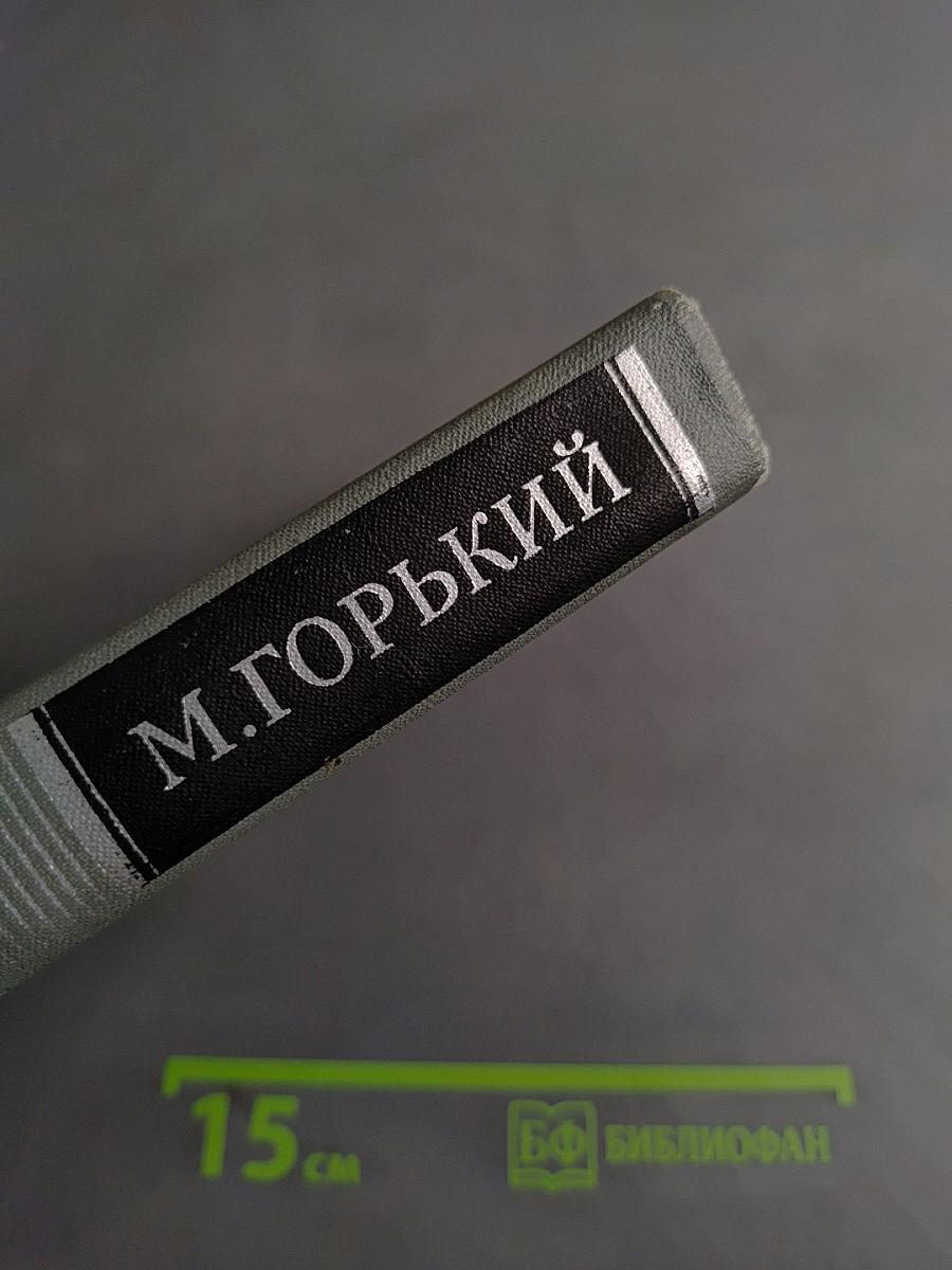 Собрание сочинений в 16 томах. Том 11. Жизнь Клима Самгина (Сорок лет)