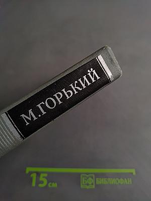 Собрание сочинений в 16 томах. Том 11. Жизнь Клима Самгина (Сорок лет)