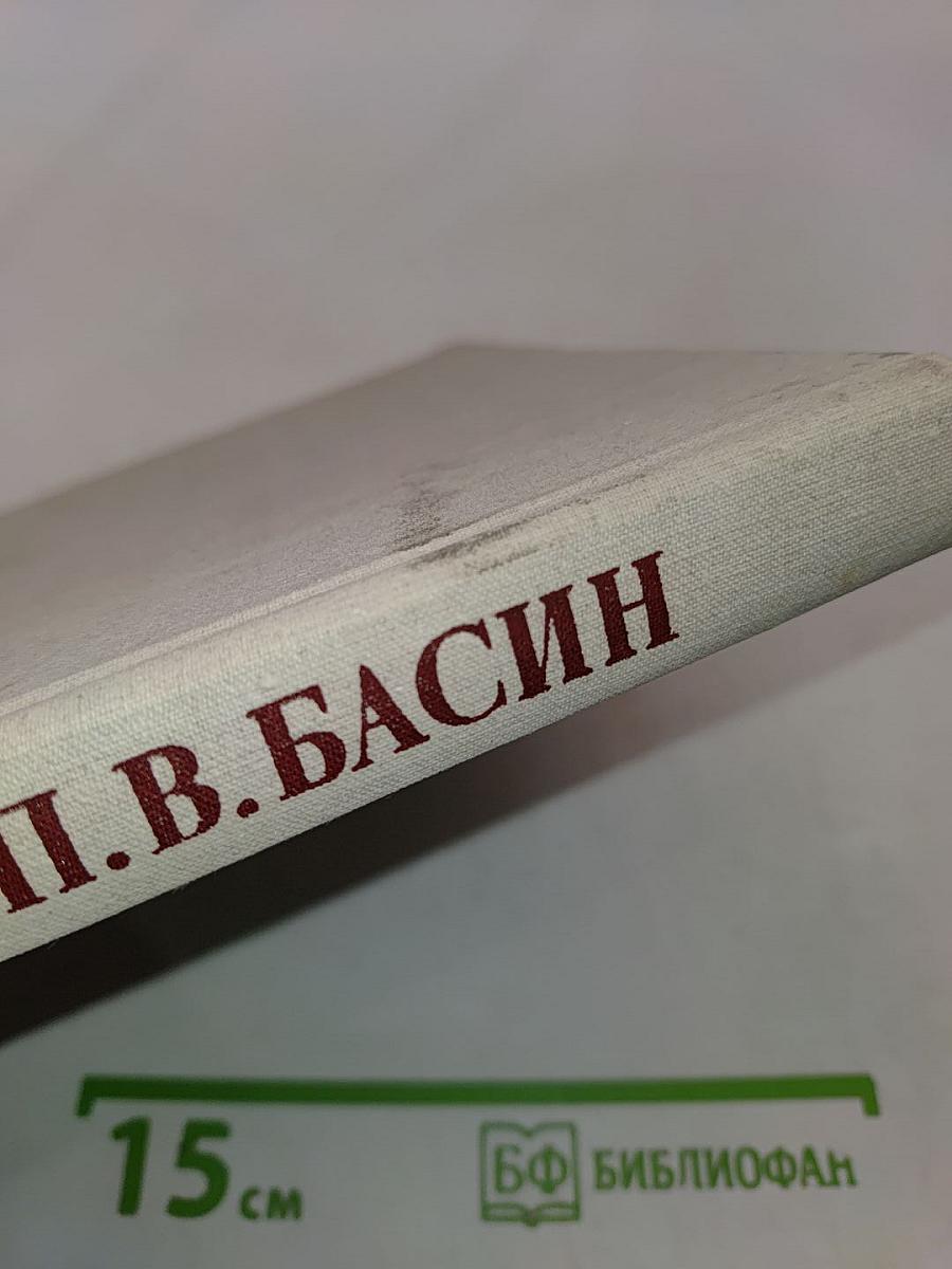 Петр Васильевич Басин