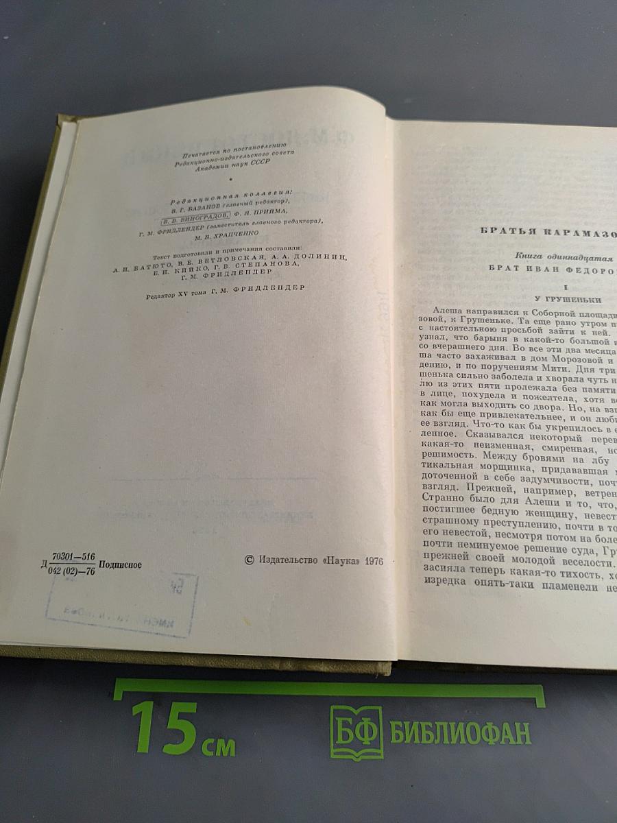 Братья Карамазовы. Том пятнадцатый. Книги XI-XII, эпилог