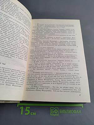 Братья Карамазовы. Том пятнадцатый. Книги XI-XII, эпилог