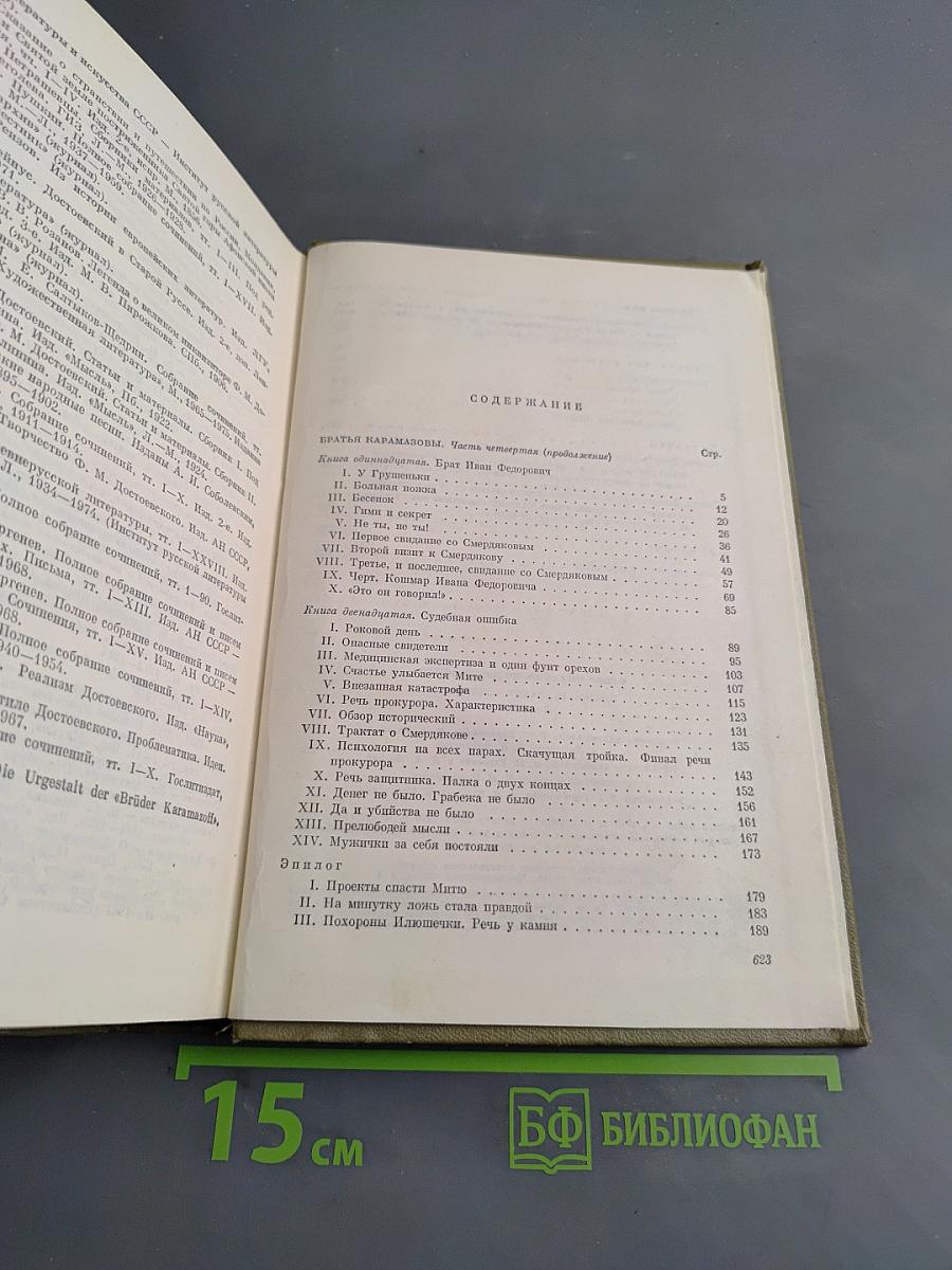 Братья Карамазовы. Том пятнадцатый. Книги XI-XII, эпилог