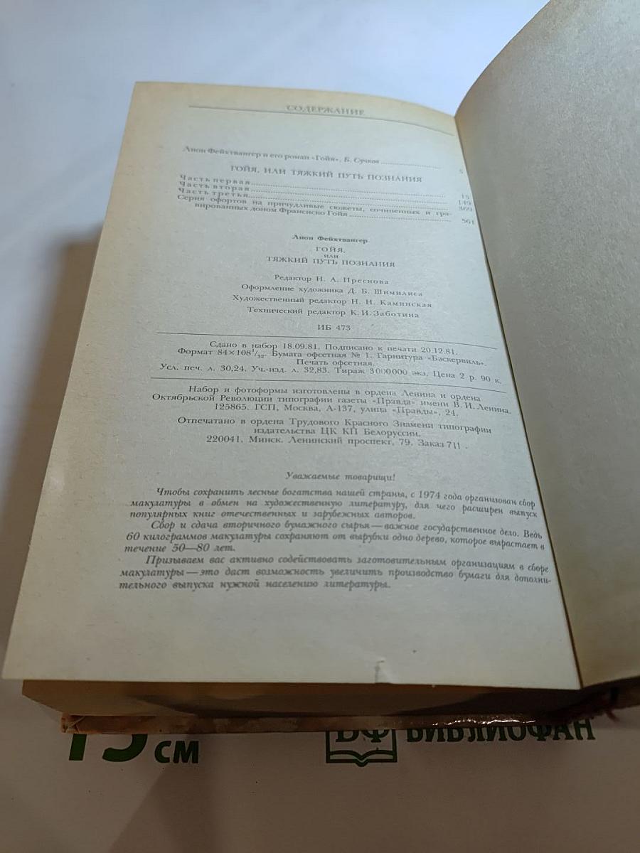 Гойя, или Тяжкий путь познания