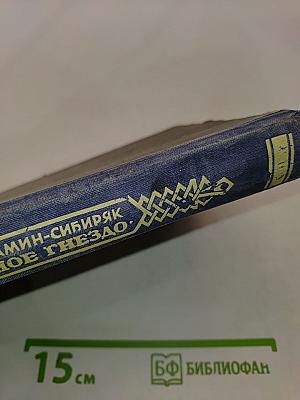 Горное гнездо