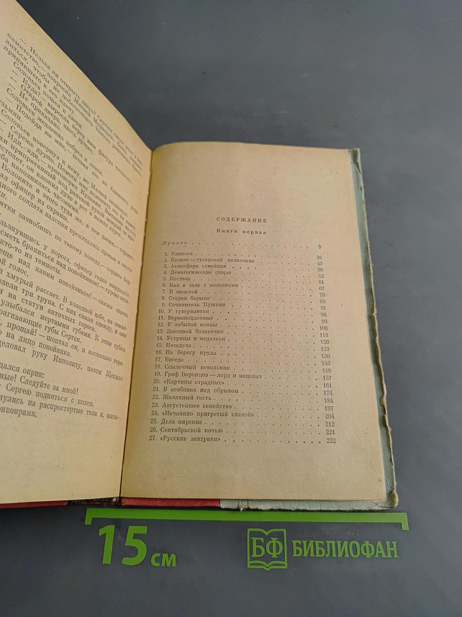 Северное сияние. Исторический роман в двух книгах. Книга 1