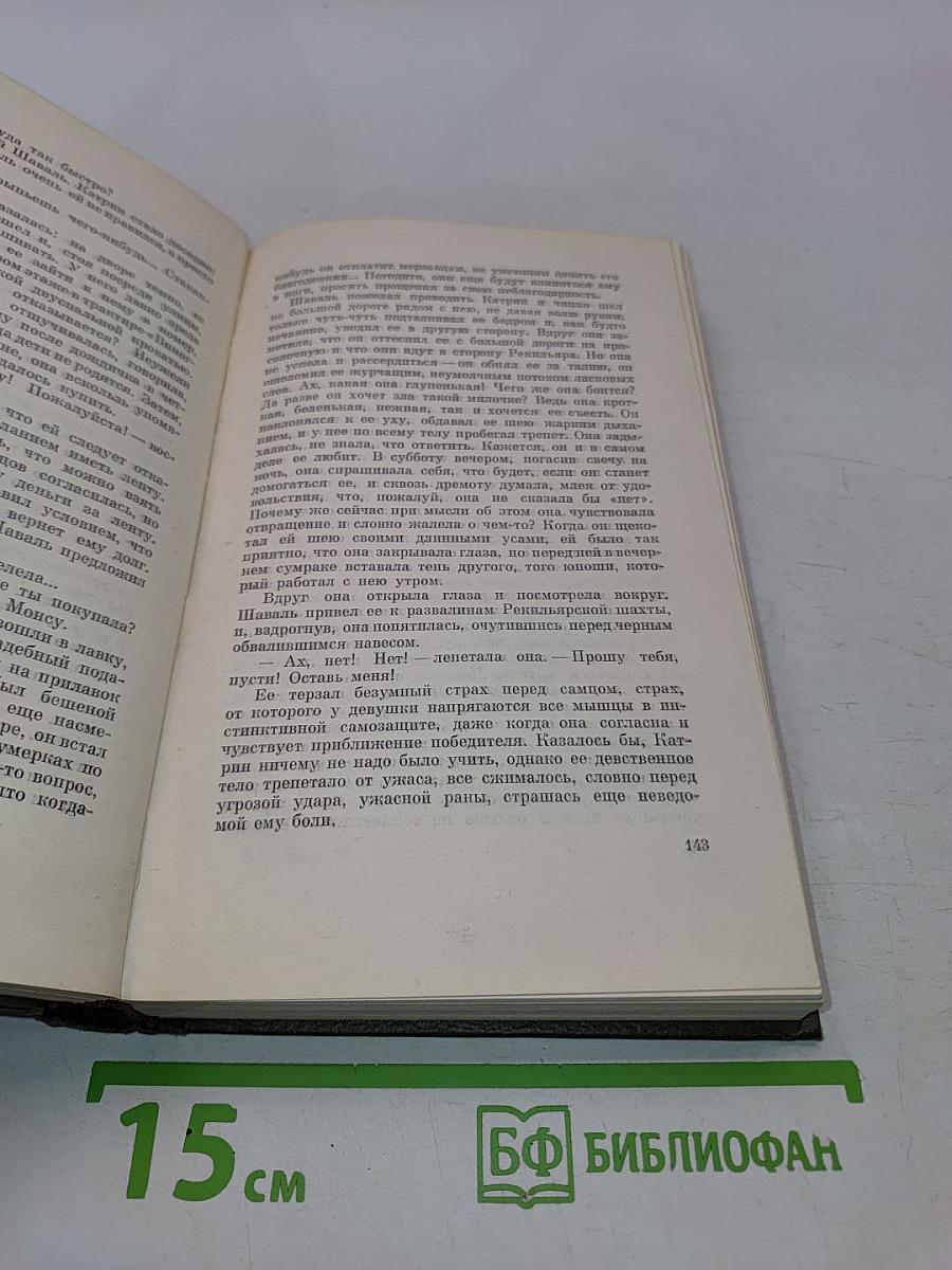 Собрание сочинений. Том десятый. Ругон-Маккары. Жерминаль