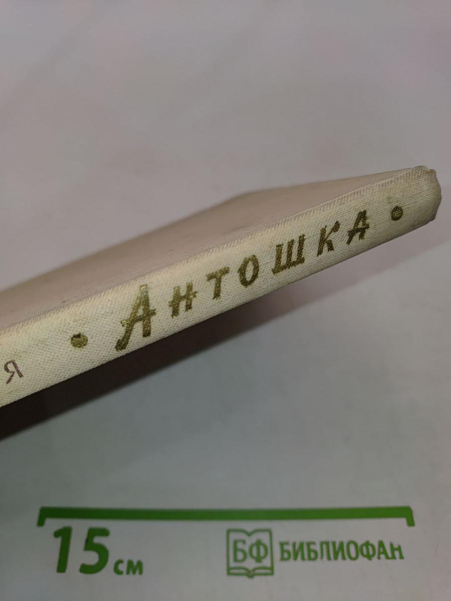 Антошка