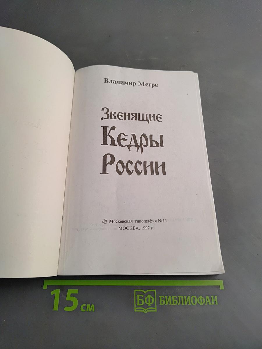 Звенящие Кедры России. Книга вторая