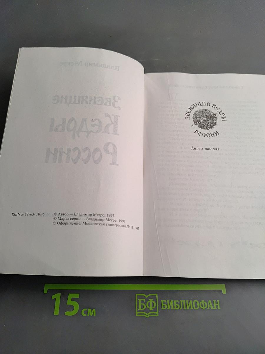 Звенящие Кедры России. Книга вторая