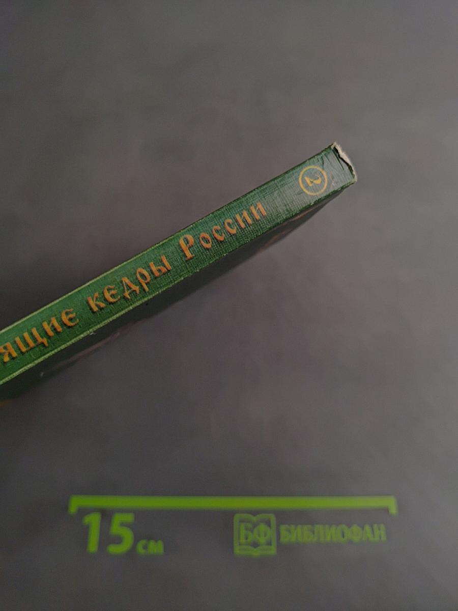 Звенящие Кедры России. Книга вторая