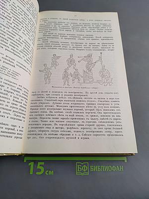 Святой благовѣрный великий князь Александръ Ярославичь Невскій. Подробное жизнеописаніе съ рисунками, планами и картами.