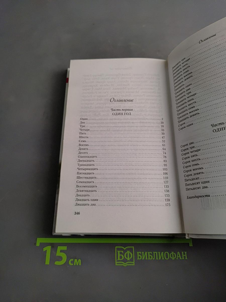 Только один год