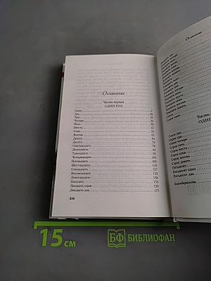 Только один год
