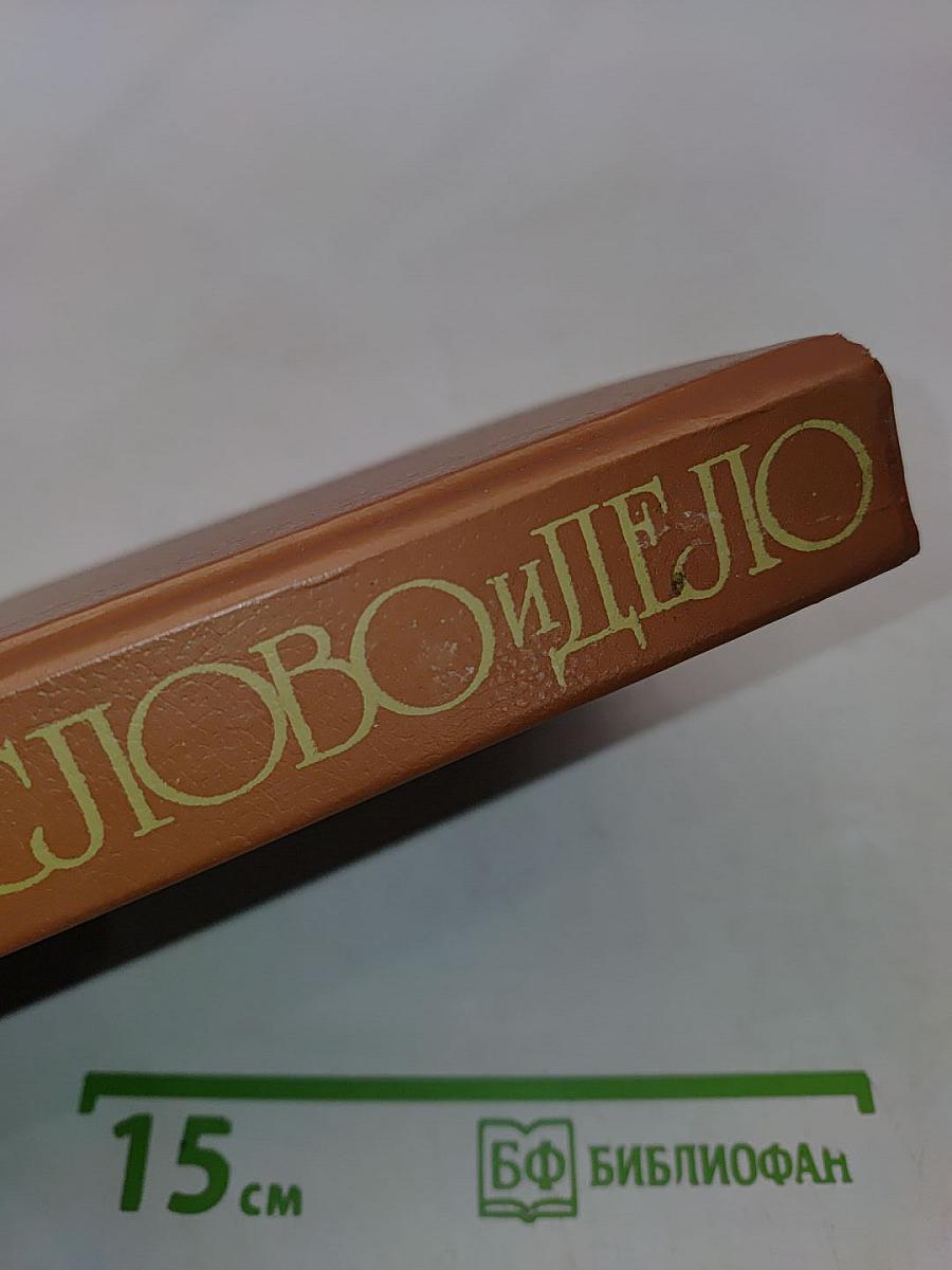 Слово и дело. Роман-хроника времён Анны Иоанновны. Книга 1. Царица престрашного зраку