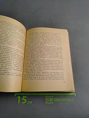 Путь Марсиан