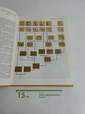 Детская энциклопедия. Человек. Том 7