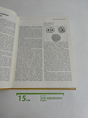 Детская энциклопедия. Человек. Том 7