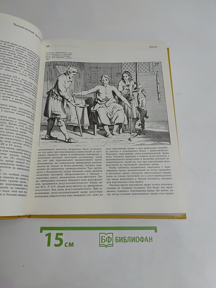 Детская энциклопедия. Человек. Том 7
