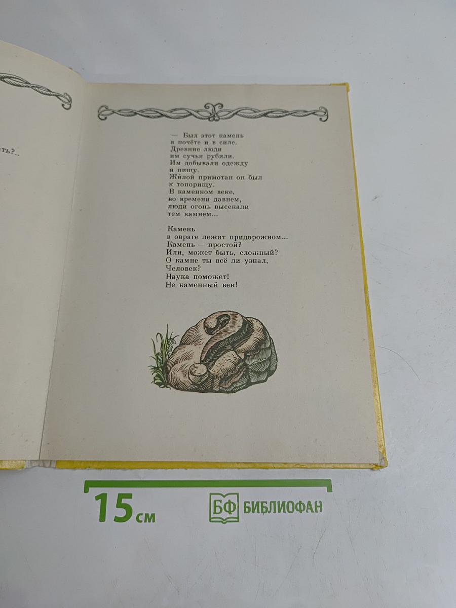 Ракета и травинка