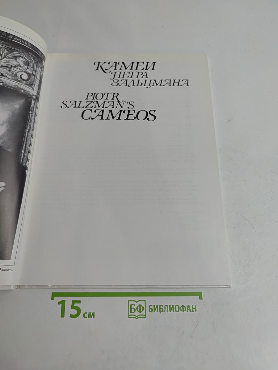 Камни Петра Зальцмана
