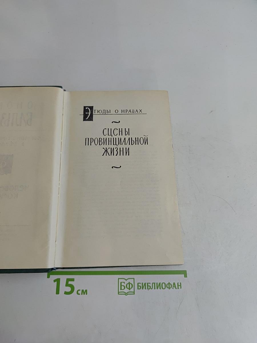 Сцены провинциальной жизни