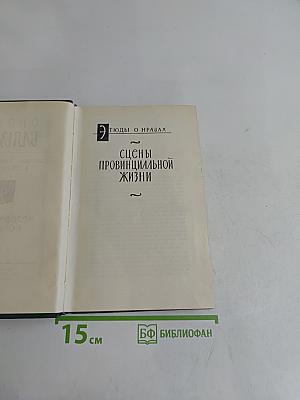 Сцены провинциальной жизни